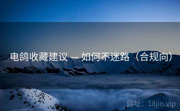 电鸽收藏建议 — 如何不迷路（合规向）