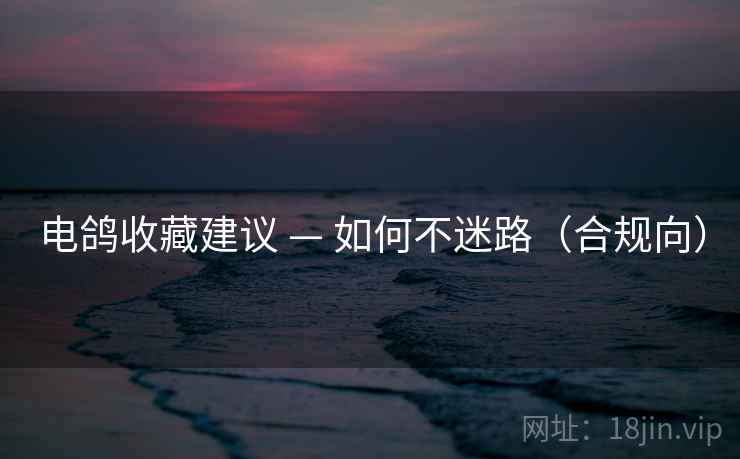 电鸽收藏建议 — 如何不迷路（合规向）