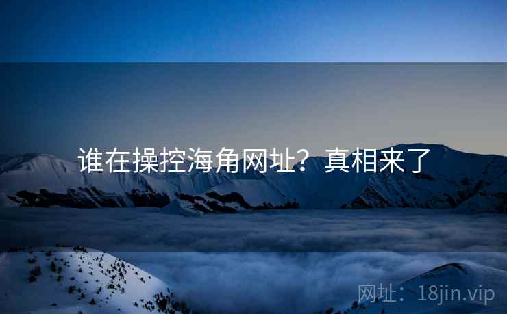 谁在操控海角网址？真相来了
