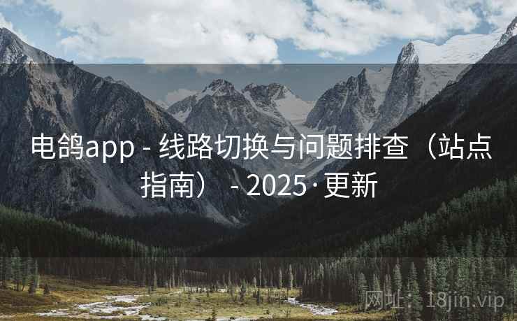 电鸽app - 线路切换与问题排查（站点指南） - 2025·更新