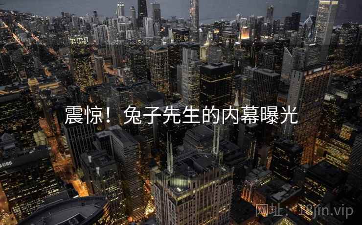 震惊！兔子先生的内幕曝光