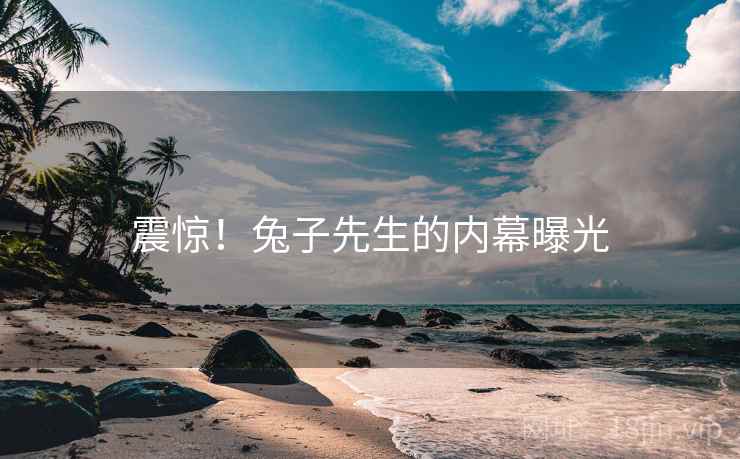震惊！兔子先生的内幕曝光