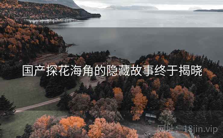 国产探花海角的隐藏故事终于揭晓