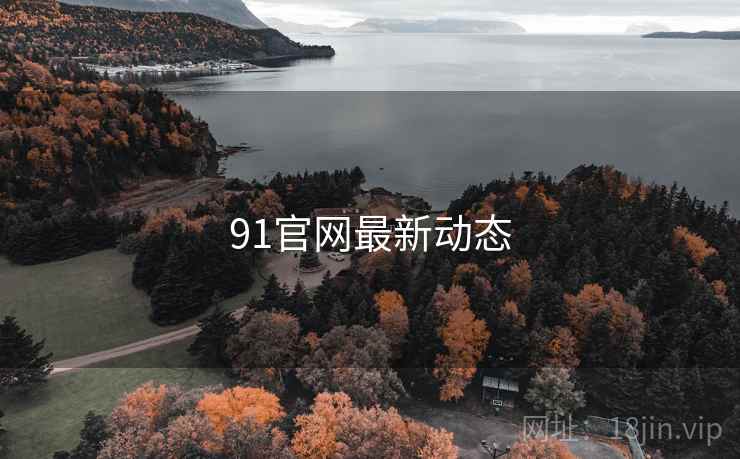91官网最新动态