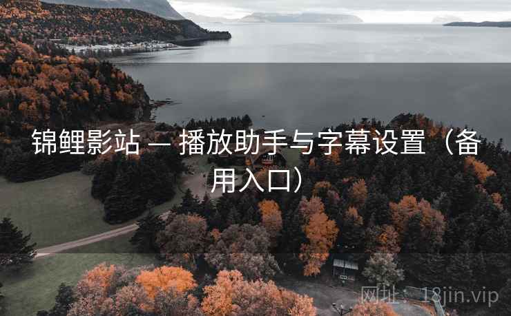锦鲤影站 — 播放助手与字幕设置(备用入口) 锦鲤影站 — 播放助手与字幕设置(备用入口)